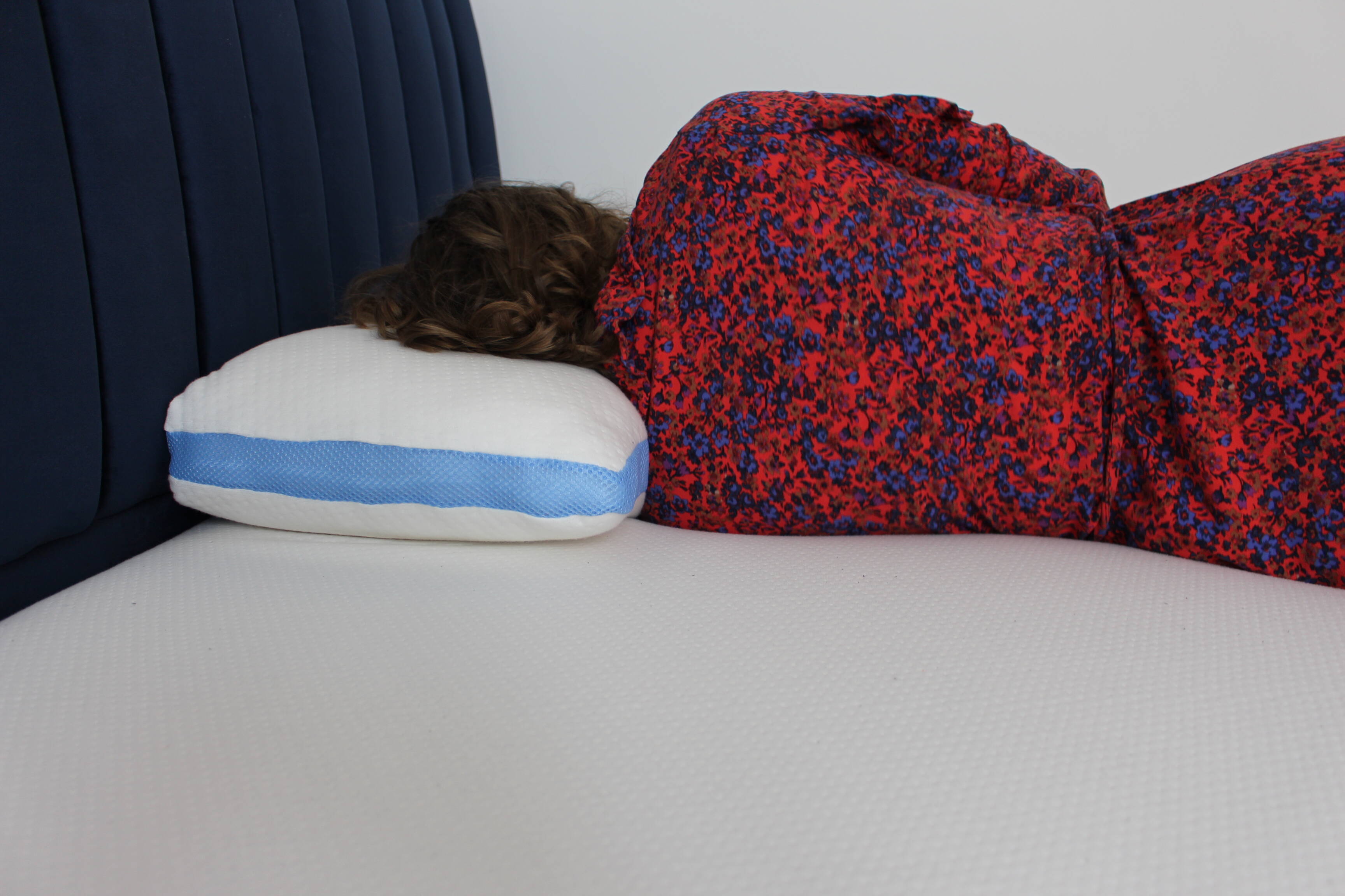 interior almofada koala